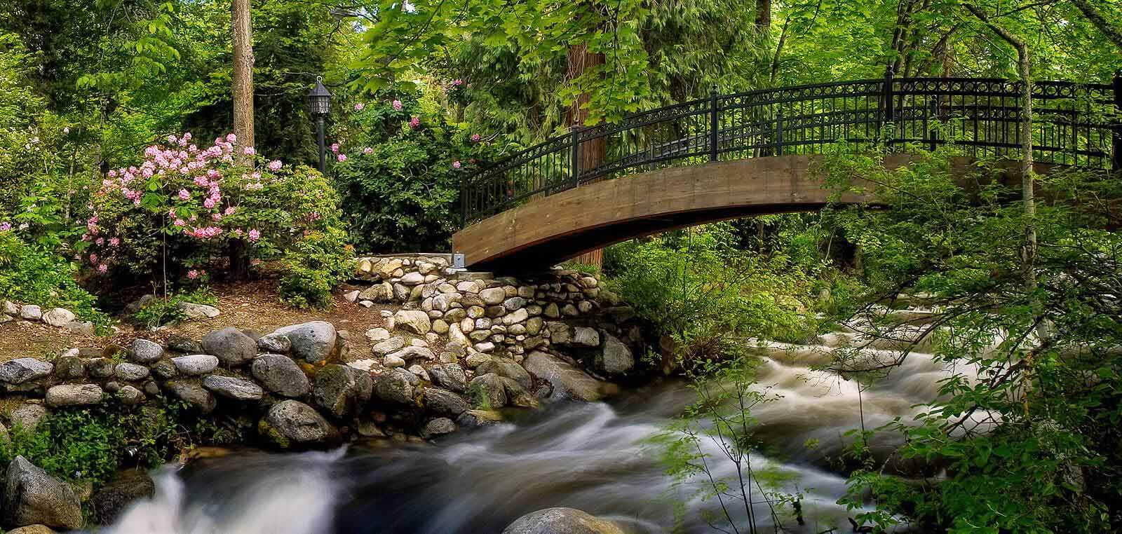 Creek in Lithia Park Ashland Oregon