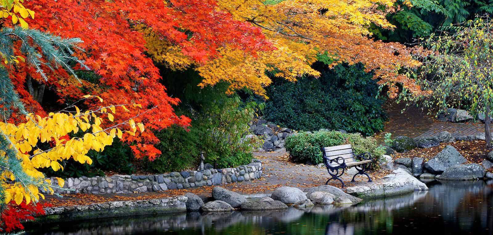 Lithia Park Ashland Oregon