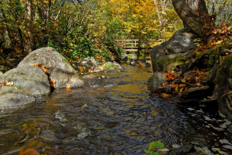 natural landscape in ashland oregon